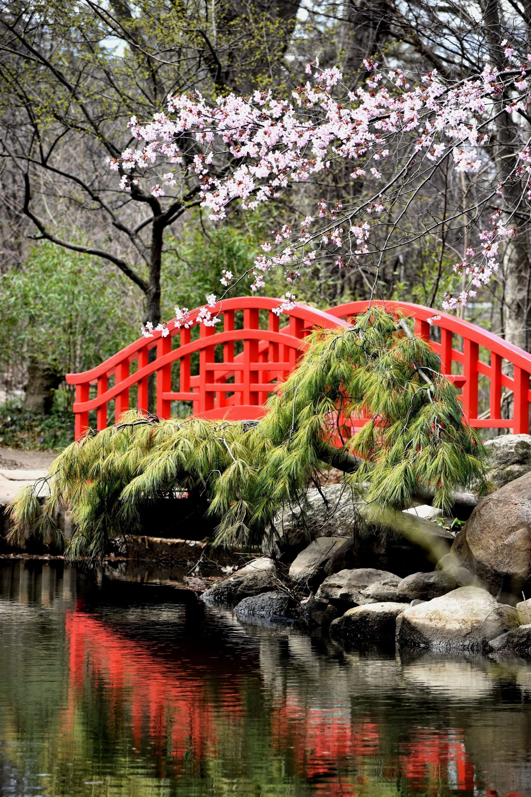 Washington Park Arboretum